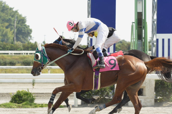 2007年9月23日（日） 高知競馬 6R 秋好＆幸代結婚特別_a0077663_7552833.jpg