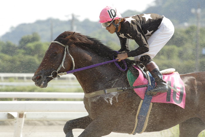 2007年9月23日（日） 高知競馬 6R 秋好＆幸代結婚特別_a0077663_755797.jpg