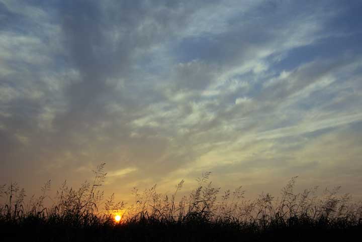 e0019563_8142522.jpg