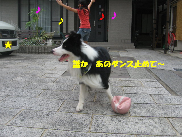 e0117976_1152180.jpg