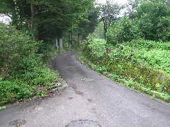 a0087378_531495.jpg