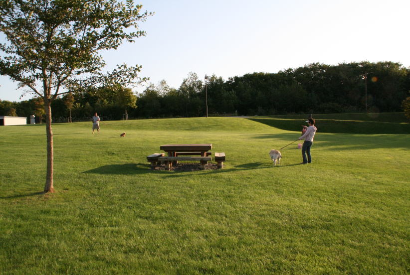 c0112479_8585271.jpg