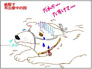お待たせしました・・。_e0012580_11375843.jpg