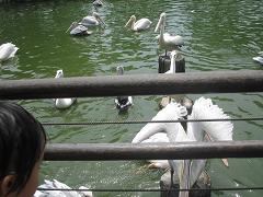 e0121993_92261.jpg