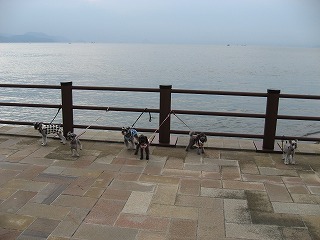 b0032513_0375915.jpg