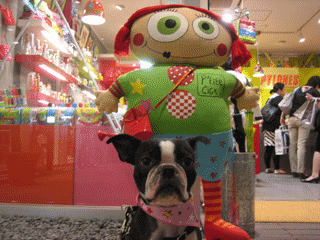 e0080117_2334217.gif
