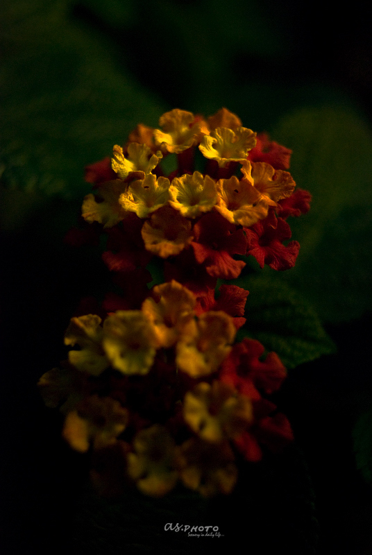 c0126428_22251777.jpg