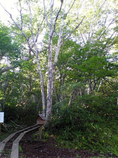 e0064133_20484781.jpg