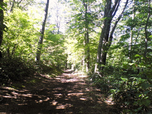 e0064133_20524074.jpg