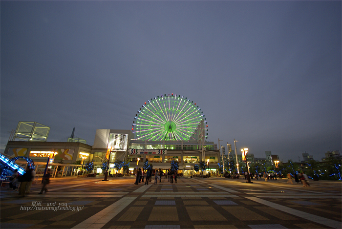 海遊館　　vol．３　_c0121738_4403781.jpg