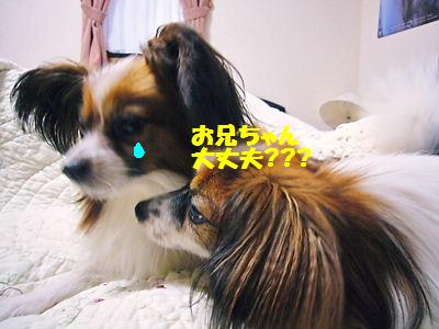 e0100046_16112859.jpg