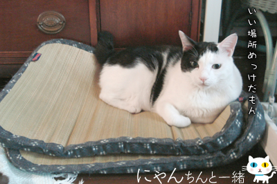 寒い、寒いのアピール_e0031853_10585431.jpg
