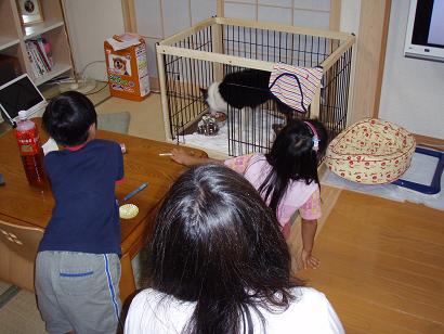 f0046854_20281218.jpg