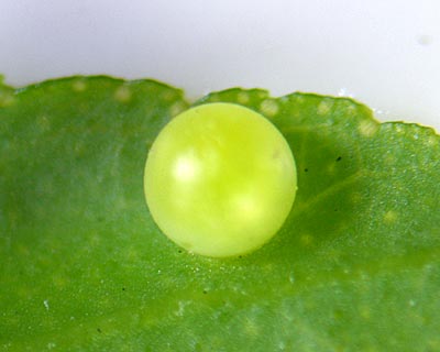 e0035757_16394552.jpg