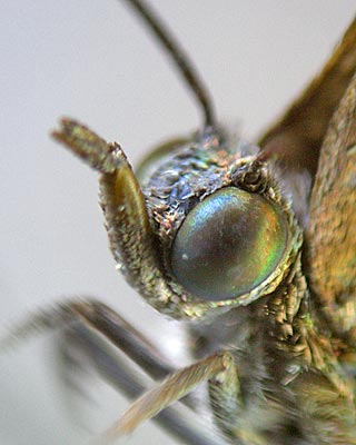 e0035757_16451178.jpg