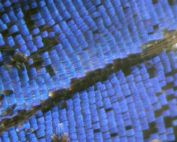 e0035757_16453872.jpg