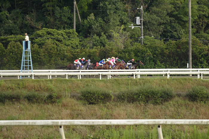 第11回 黒潮菊花賞 レース前半_a0077663_1902197.jpg