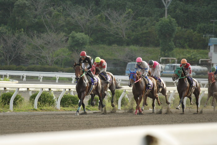 第11回 黒潮菊花賞 レース前半_a0077663_1905272.jpg