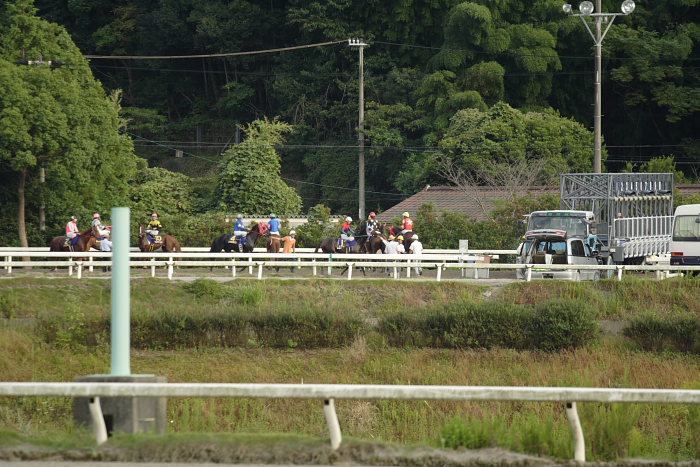 第11回 黒潮菊花賞 レース前半_a0077663_19082.jpg