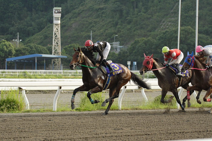 第11回 黒潮菊花賞 レース前半_a0077663_1911168.jpg
