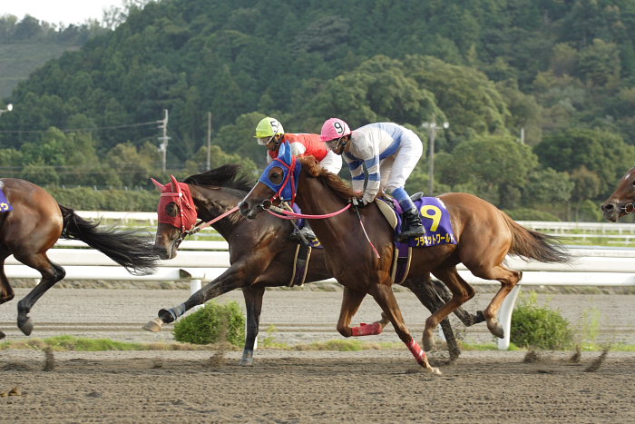 第11回 黒潮菊花賞 レース前半_a0077663_1912597.jpg