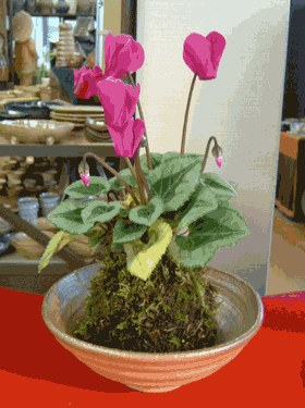 f0014970_1631564.gif