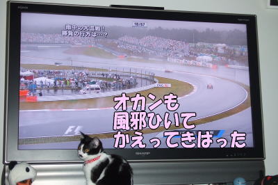 第740話【F1日本GP】_b0041182_2392657.jpg