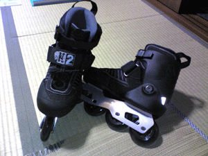 c0090084_1332271.gif