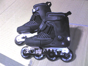 c0090084_13363917.gif