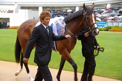 今年の３歳牝馬は強い！スプリンターズSはアストンマーチャンが堂々逃げ切る_b0015386_22542567.jpg