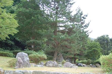 c0046587_1052499.jpg
