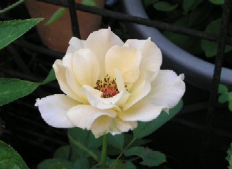 c0108693_21294954.jpg