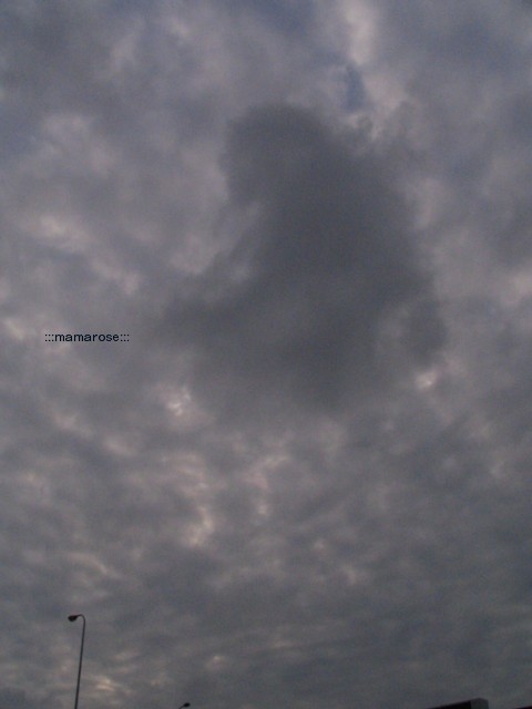 b0118511_20373011.jpg