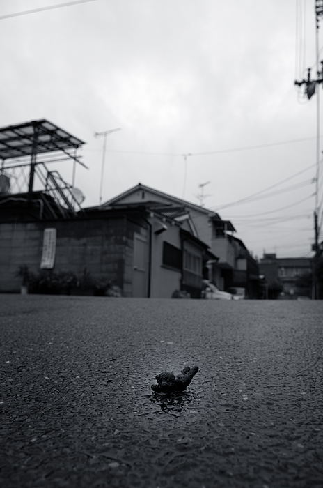 雨の日歩記・湿っぽい光景_f0032011_19364682.jpg
