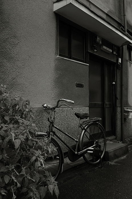 雨の日歩記・湿っぽい光景_f0032011_1937311.jpg