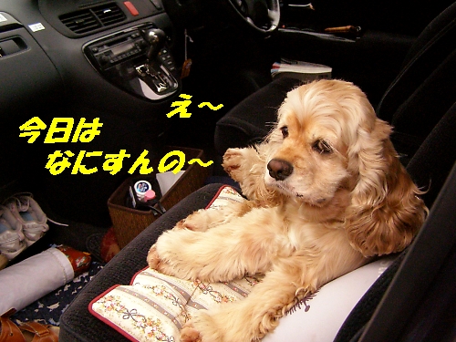 中野丸井はカフェの香り_b0067012_23592187.jpg