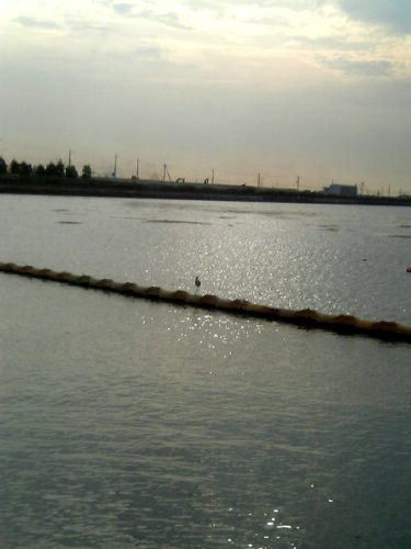 e0119017_0184787.jpg