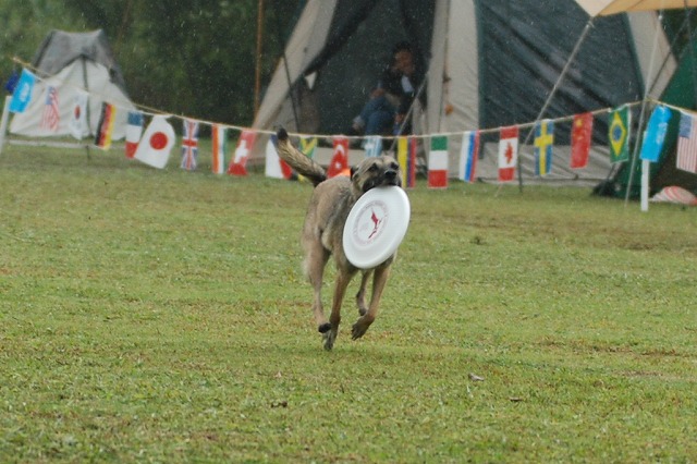 e0121418_23275037.jpg