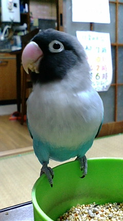 f0126418_1413157.jpg