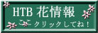 美瑛方面・・２_e0001123_1424469.jpg