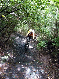 d0023725_19252080.jpg