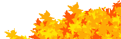 e0115329_344780.gif