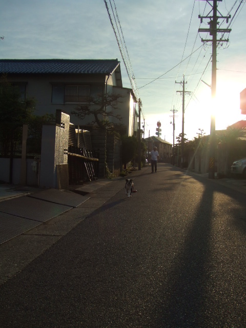 f0059334_9113499.jpg