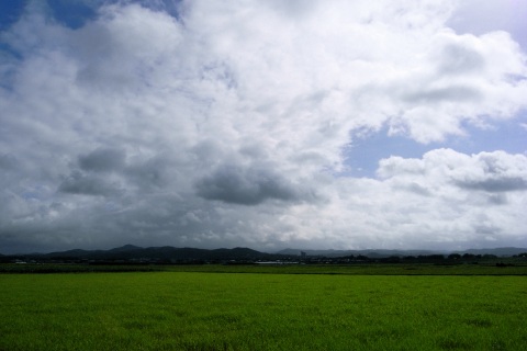 稲と青空と雲と_f0032137_232933.jpg