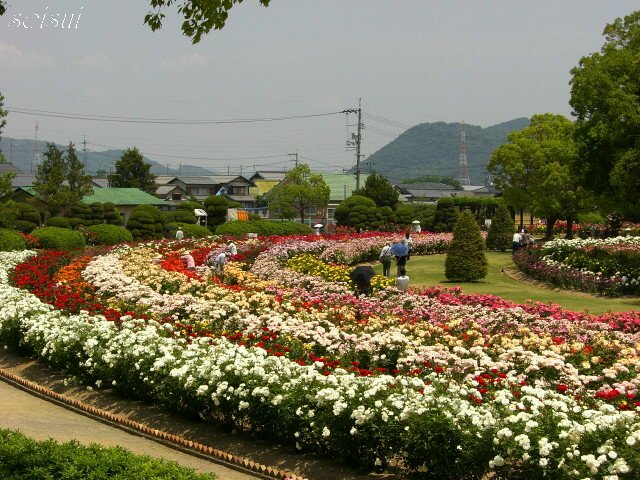 c0126344_1313523.jpg