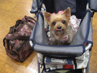 c0033145_8191827.jpg