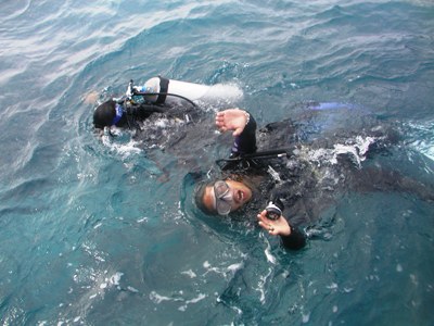 e0027447_15392365.jpg