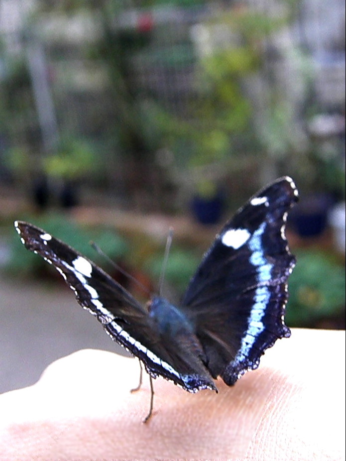 e0064158_05458.jpg