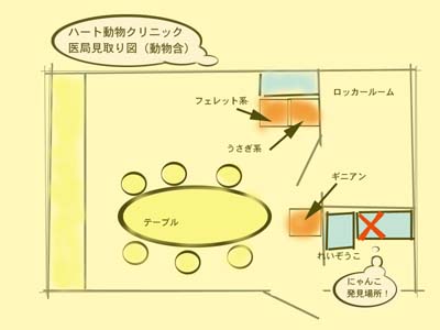 にゃんこ先生の失踪_d0129766_15444194.jpg