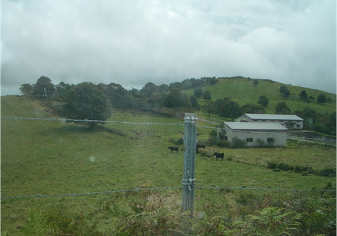 f0054868_0562874.jpg